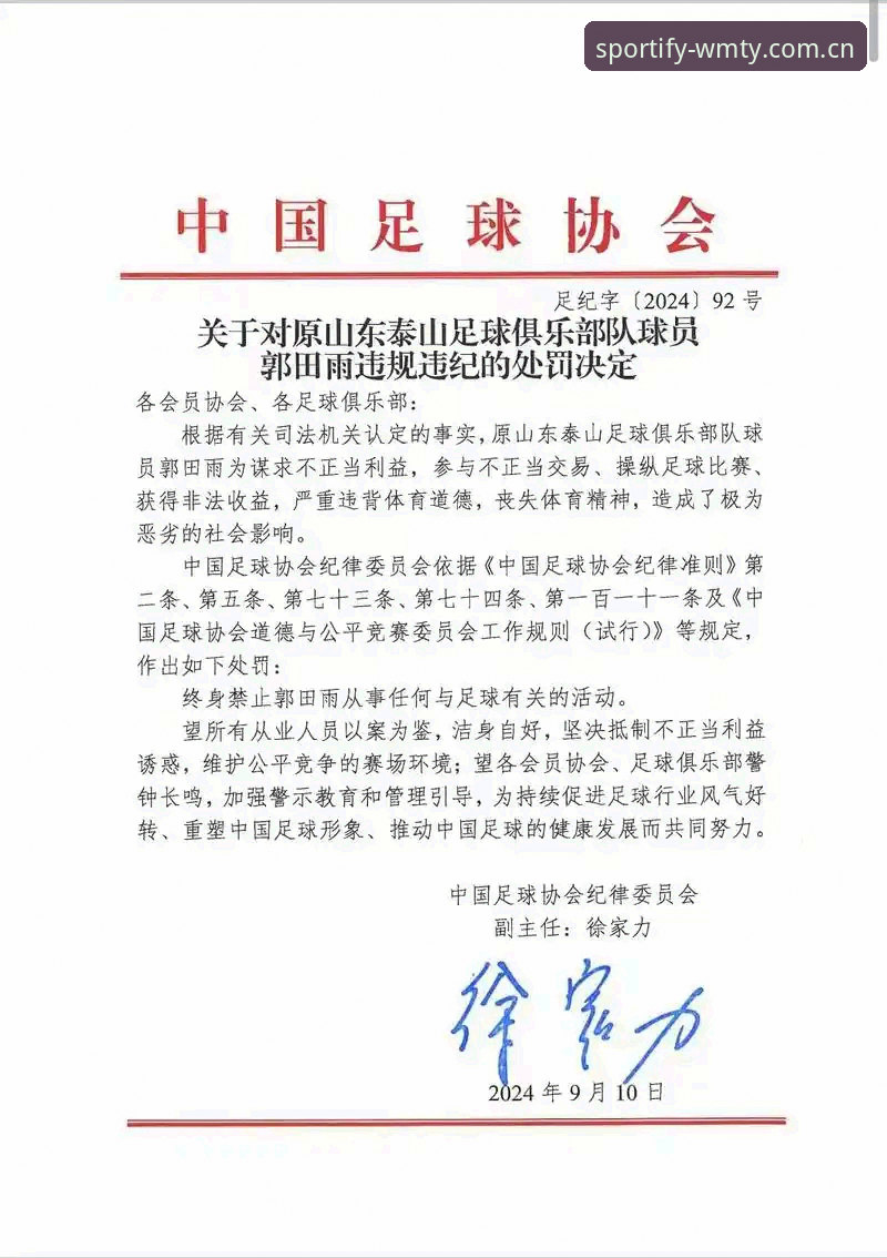资深用户分享：足协第三批禁足名单深度解析，从行业乱象看体育生态重建